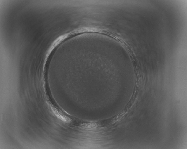X0000080690104200612151259
