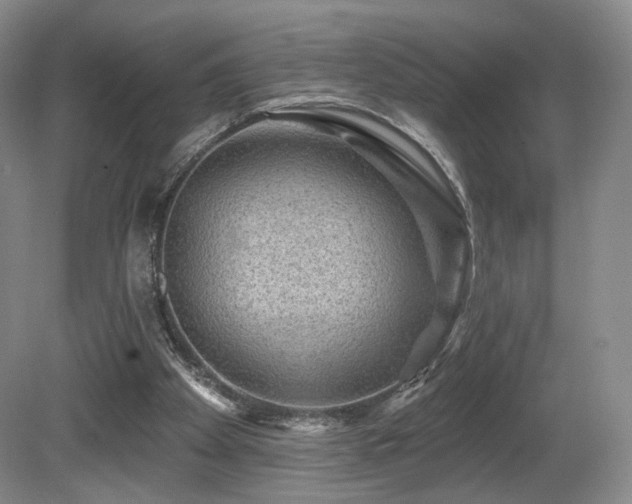 X0000080690105200612151259