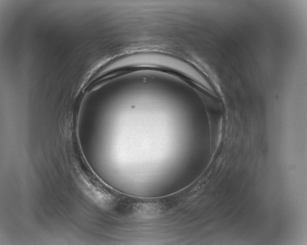 X0000080690107200612151259