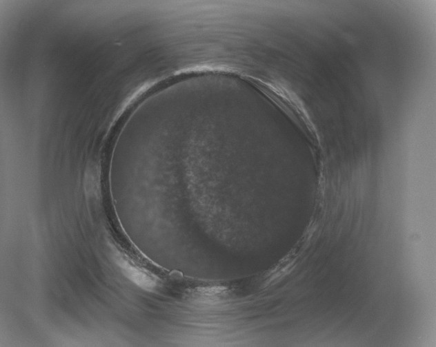X0000080690108200612151259