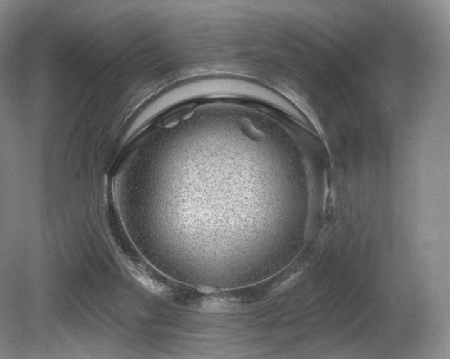 X0000080690109200612151259