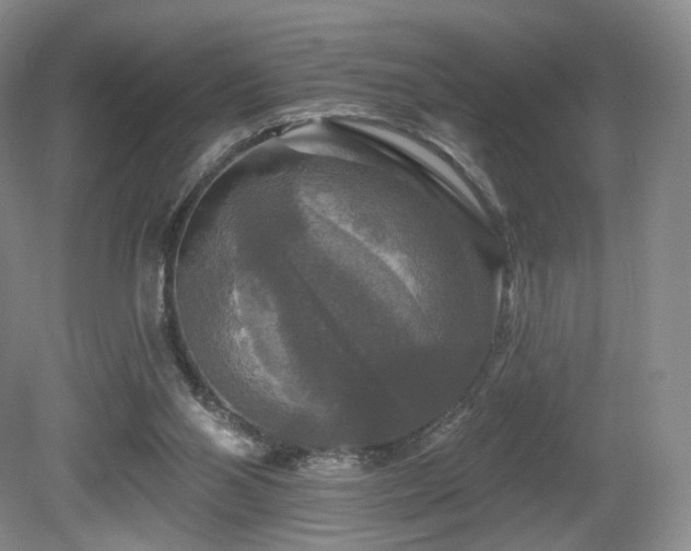 X0000080690110200612151259