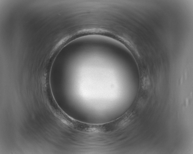 X0000080690111200612151259
