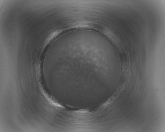 X0000080690112200612151259