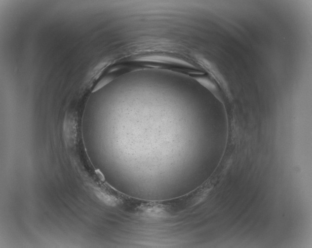 X0000080690113200612151259