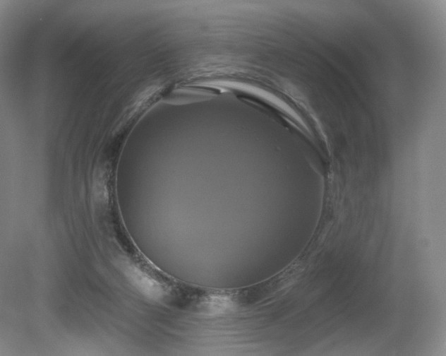 X0000080690114200612151259