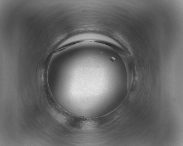 X0000080690115200612151259