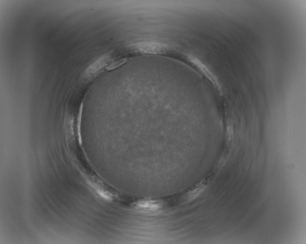 X0000080690117200612151259