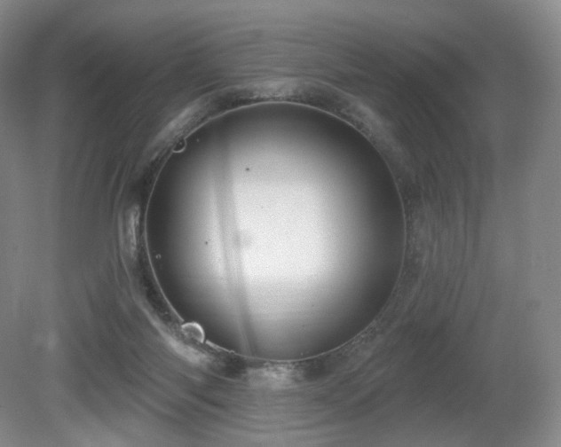 X0000080690118200612151259
