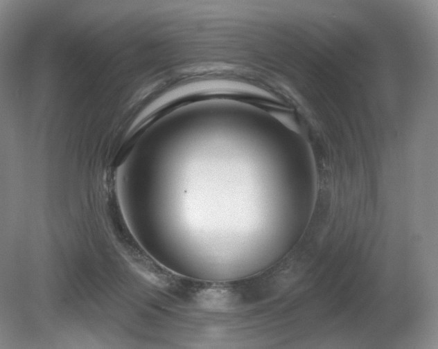 X0000080690119200612151259