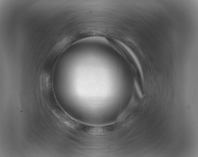 X0000080690123200612151259