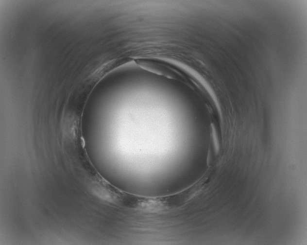 X0000080690125200612151259