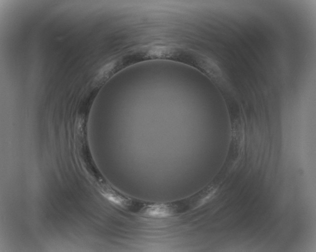 X0000080690127200612151259