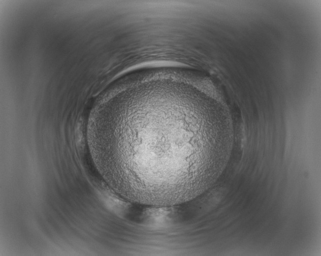 X0000080690131200612151258