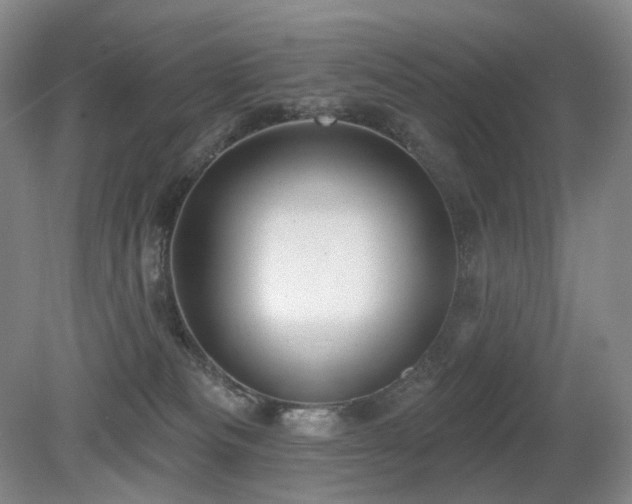 X0000080690133200612151258