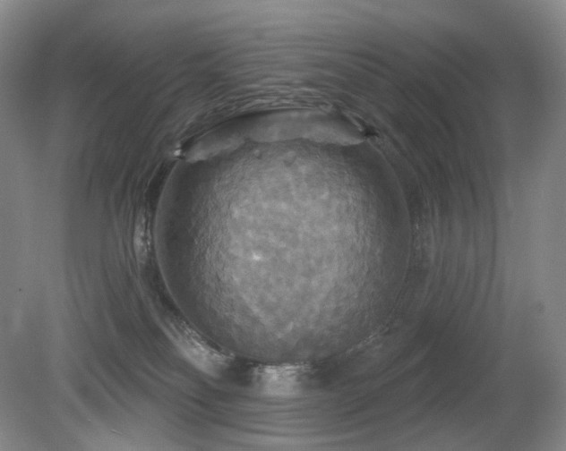 X0000080690134200612151258