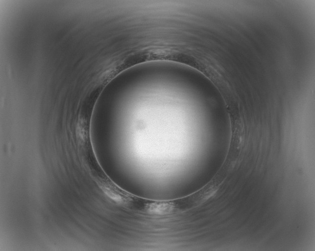 X0000080690135200612151258