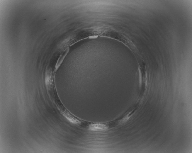 X0000080690137200612151258