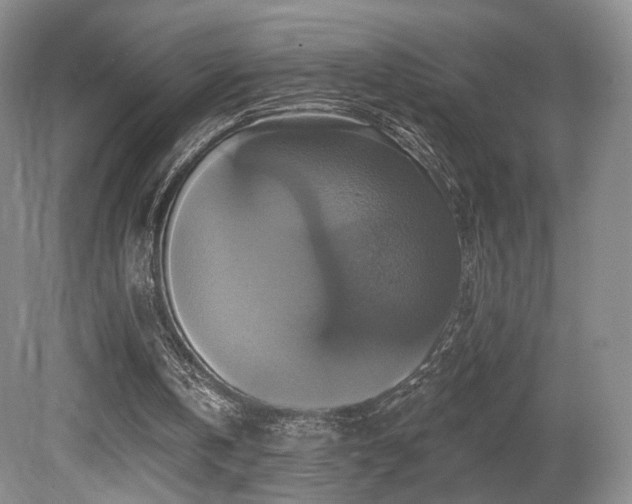 X0000080690146200612151257