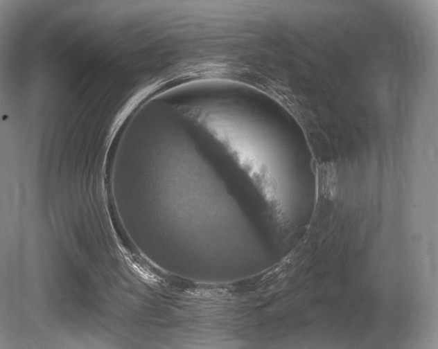 X0000080690147200612151258