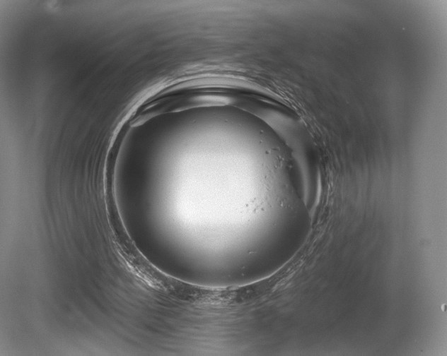 X0000080690148200612151258