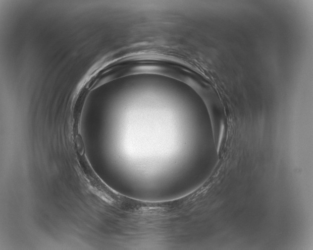 X0000080690150200612151258