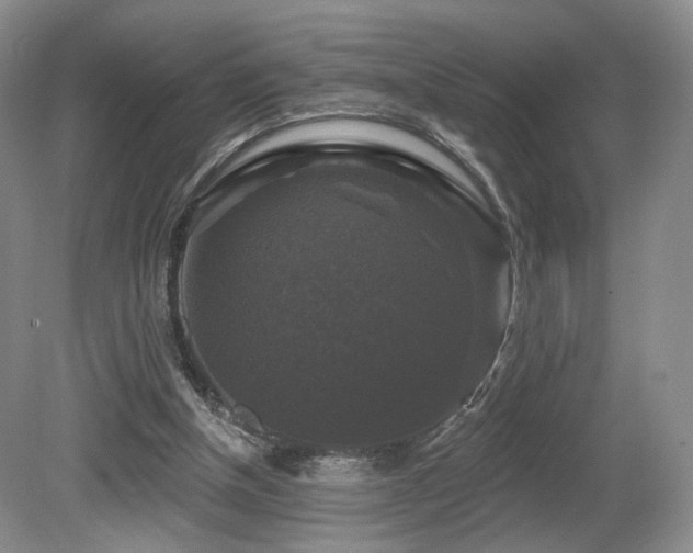 X0000080690154200612151258