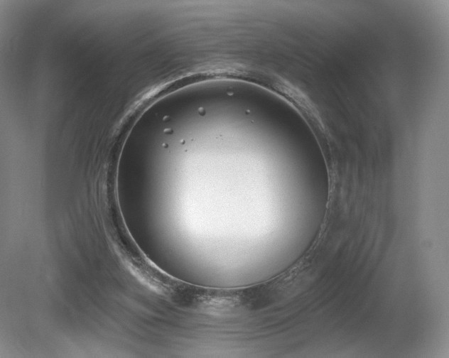 X0000080690155200612151258