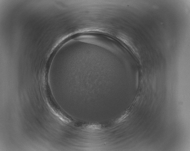 X0000080690156200612151258