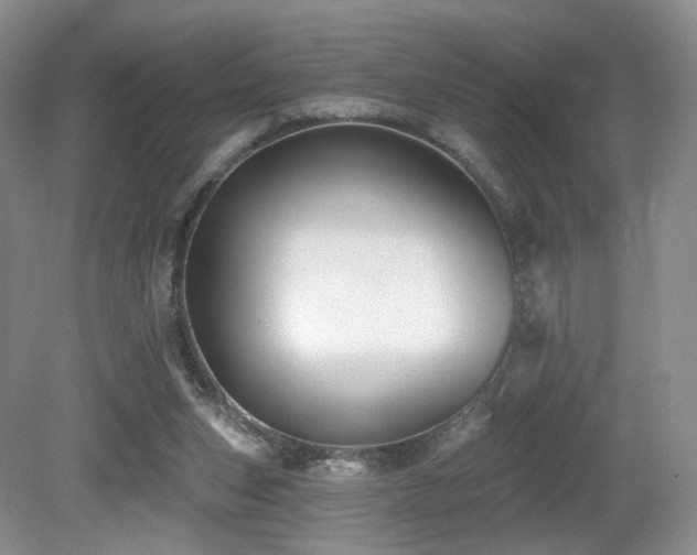 X0000080690159200612151258