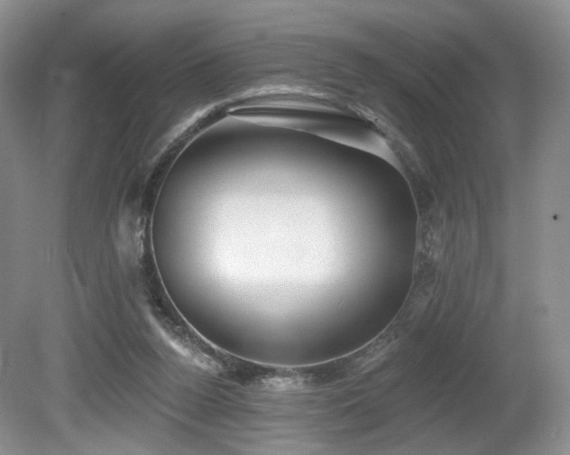 X0000080690160200612151258