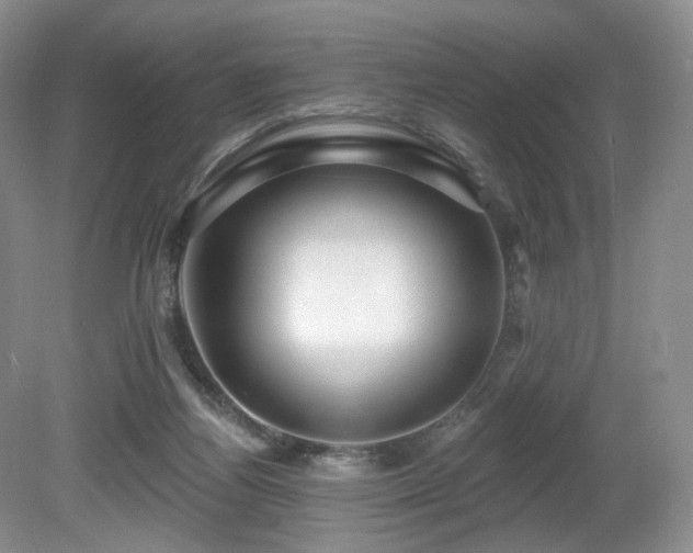 X0000080690164200612151258
