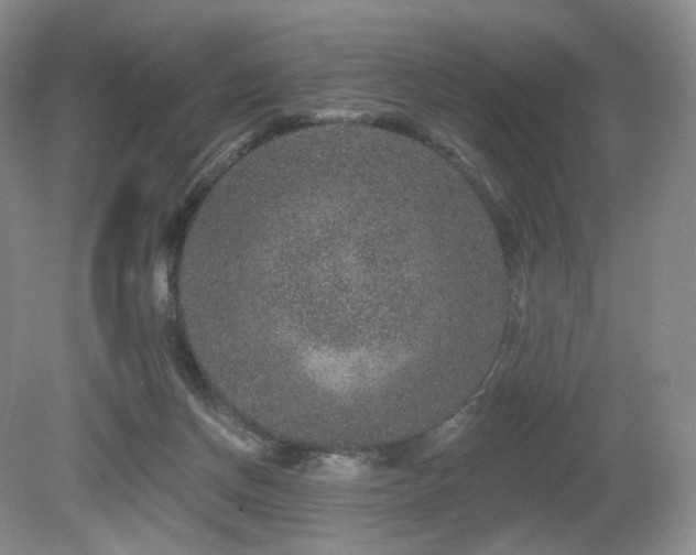 X0000080690166200612151258