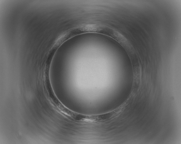 X0000080690167200612151258