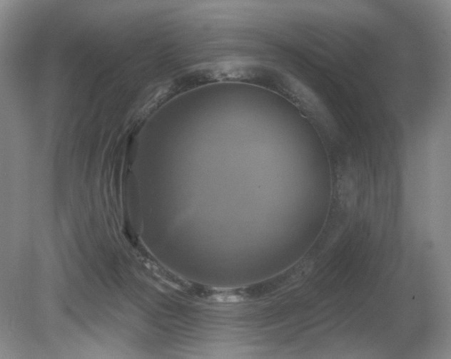 X0000080690169200612151258