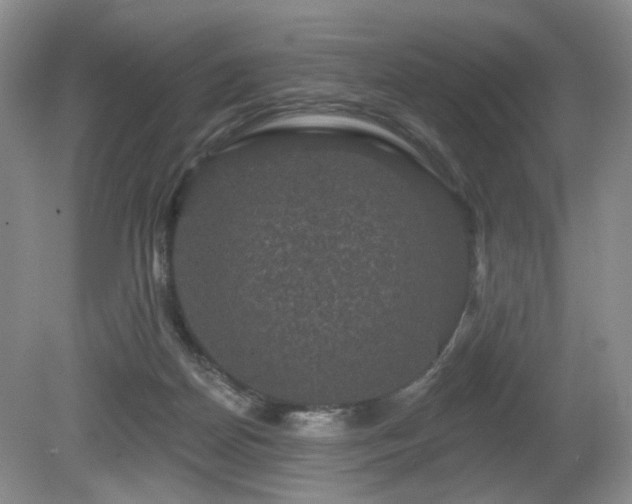 X0000080690170200612151258
