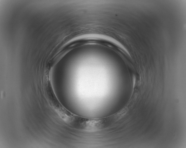 X0000080690172200612151258