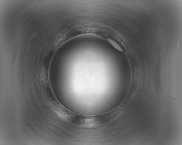 X0000080690173200612151258