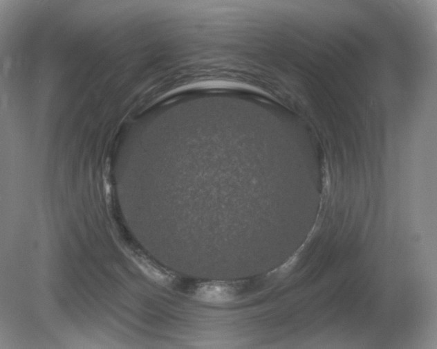 X0000080690174200612151258