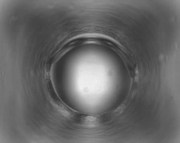 X0000080690176200612151258