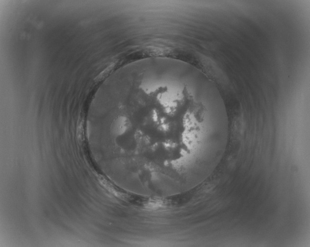X0000080690177200612151258