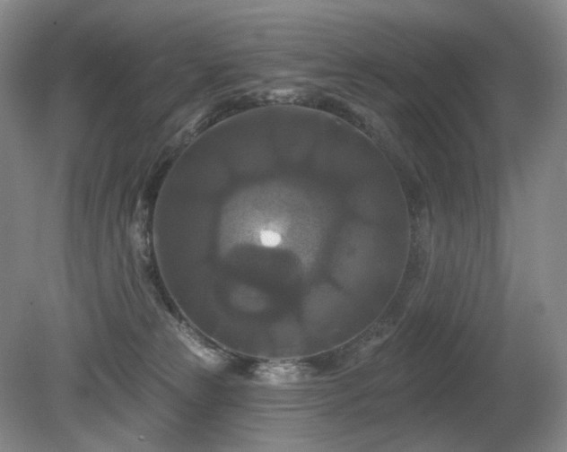 X0000080690181200612151258