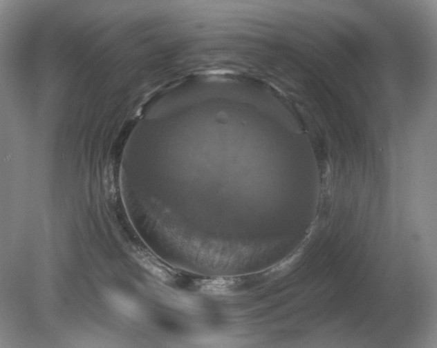 X0000080690182200612151258