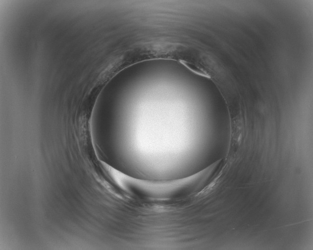 X0000080690184200612151258