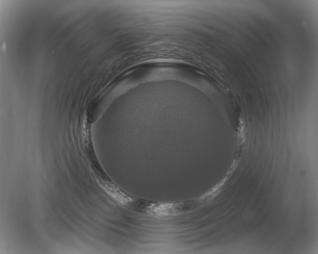 X0000080690186200612151258