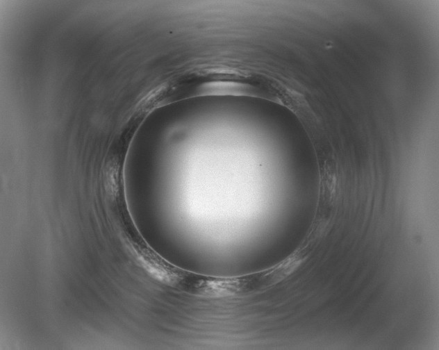 X0000080690188200612151258