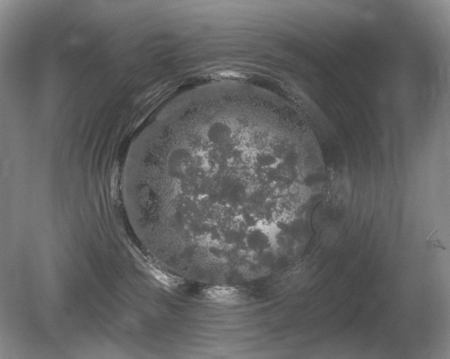 X0000080690189200612151258