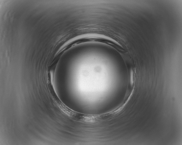 X0000080690190200612151258