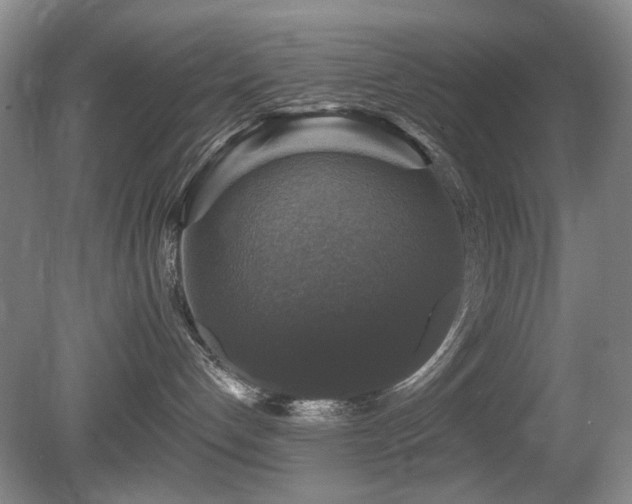 X0000080690192200612151258