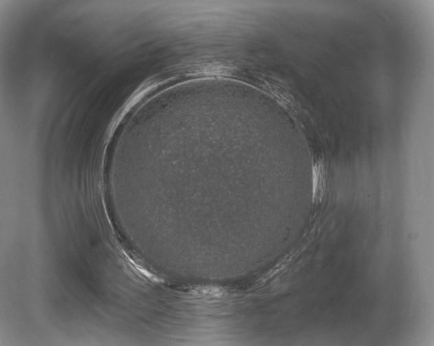 X0000080690195200612151257